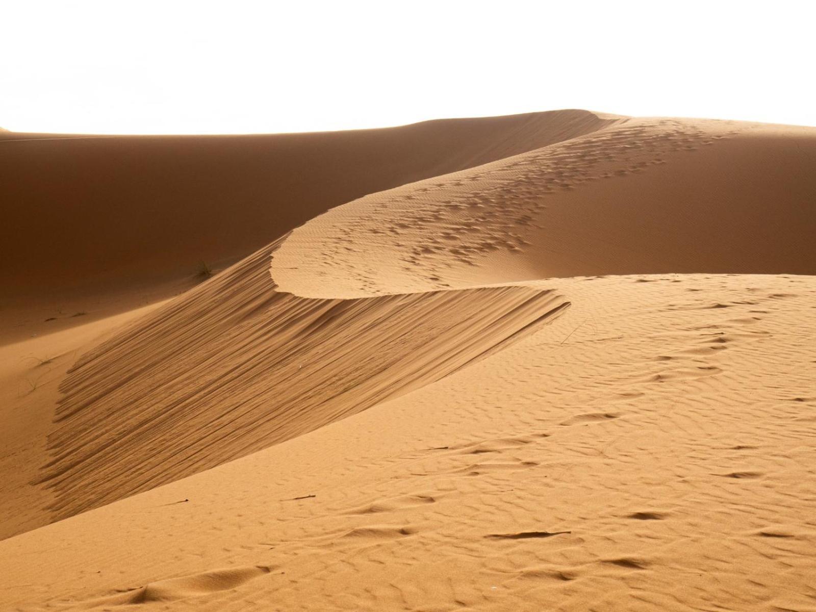 Maison Merzouga Guest House Luaran gambar